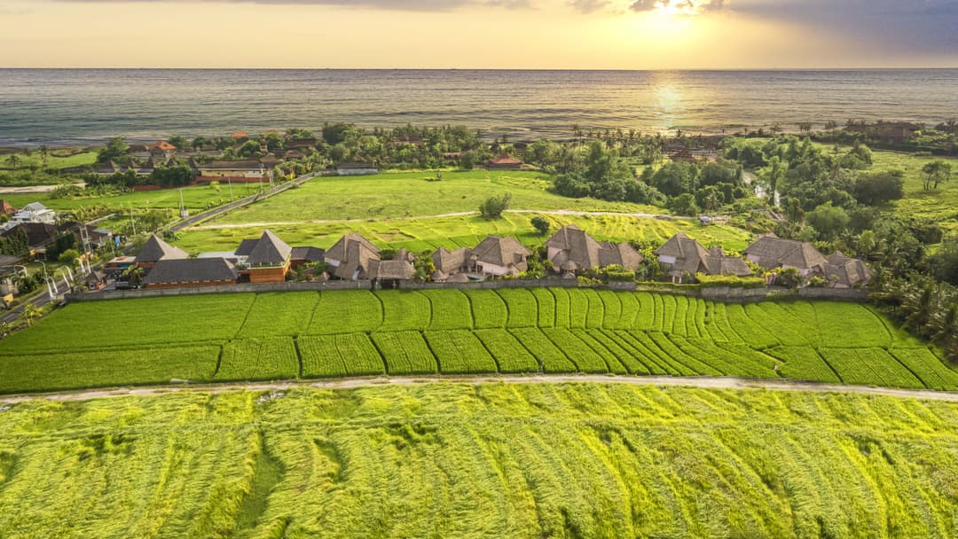 Pererenan: The Neighborhood That Absorbed Canggu's Overflow and Kept Its Character