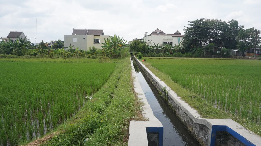 Tibubeneng: The Rice Field Village Between Canggu and What Comes Next